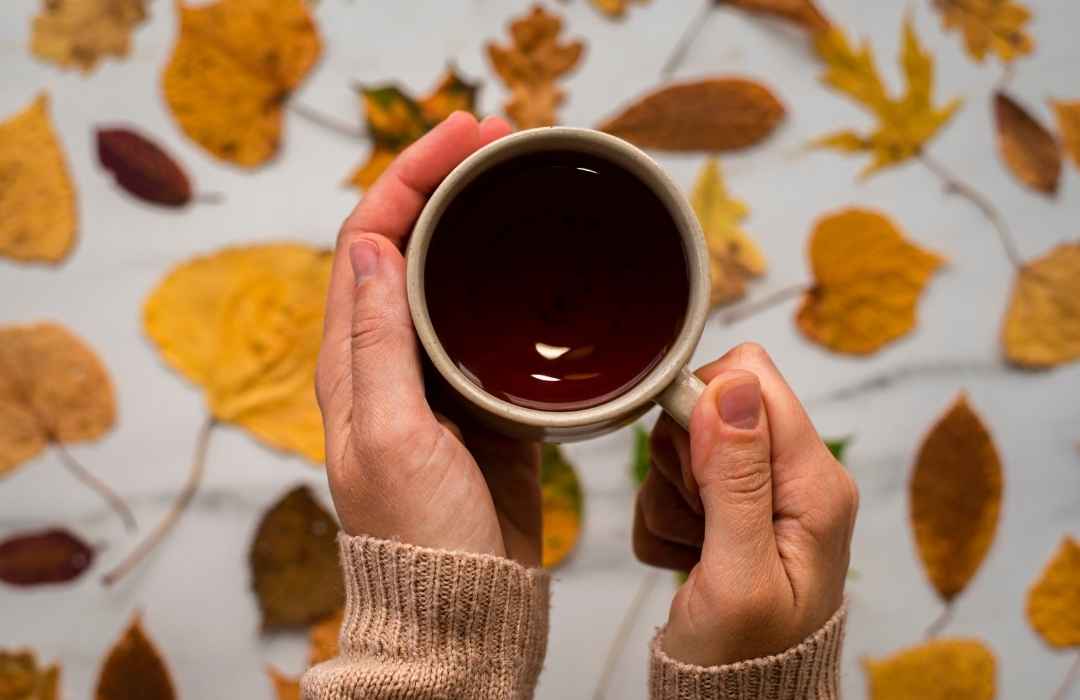 Los 8 mejores tés para el otoño: especiados, terrosos y reconfortantes