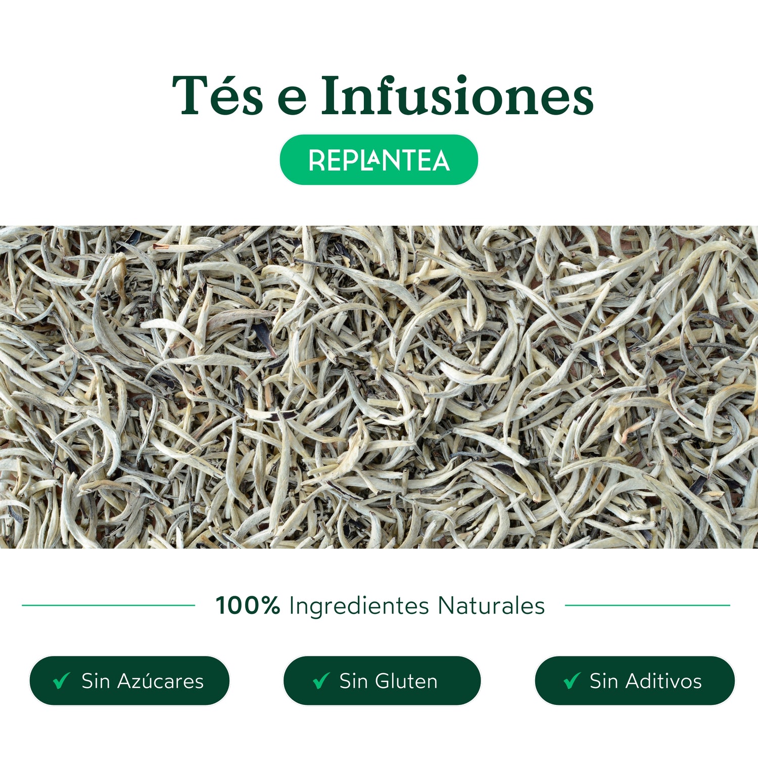 Chá Branco Yin Zhen Silver Needles Biológico 50 g