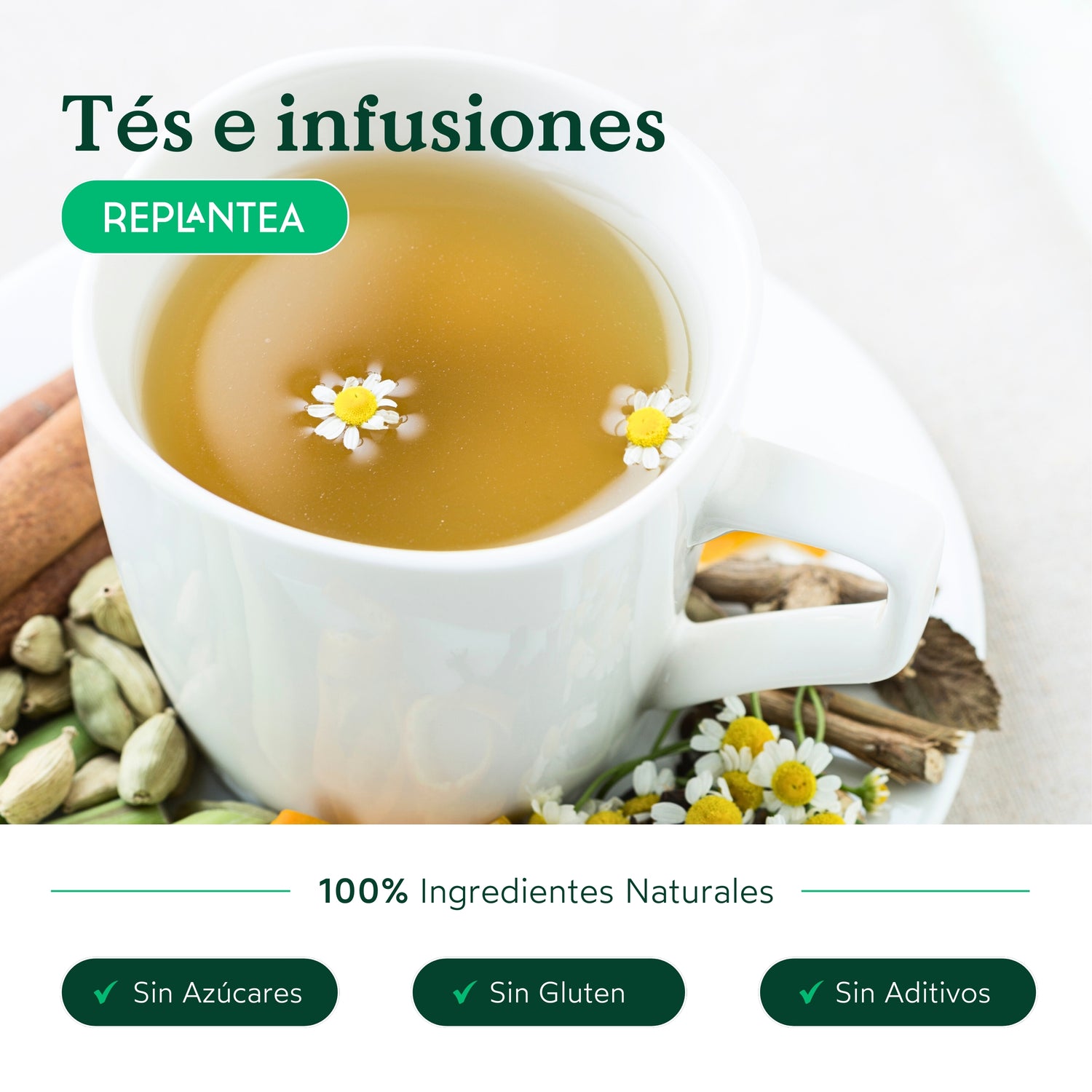Chá Verde Detox Biológico 100 g