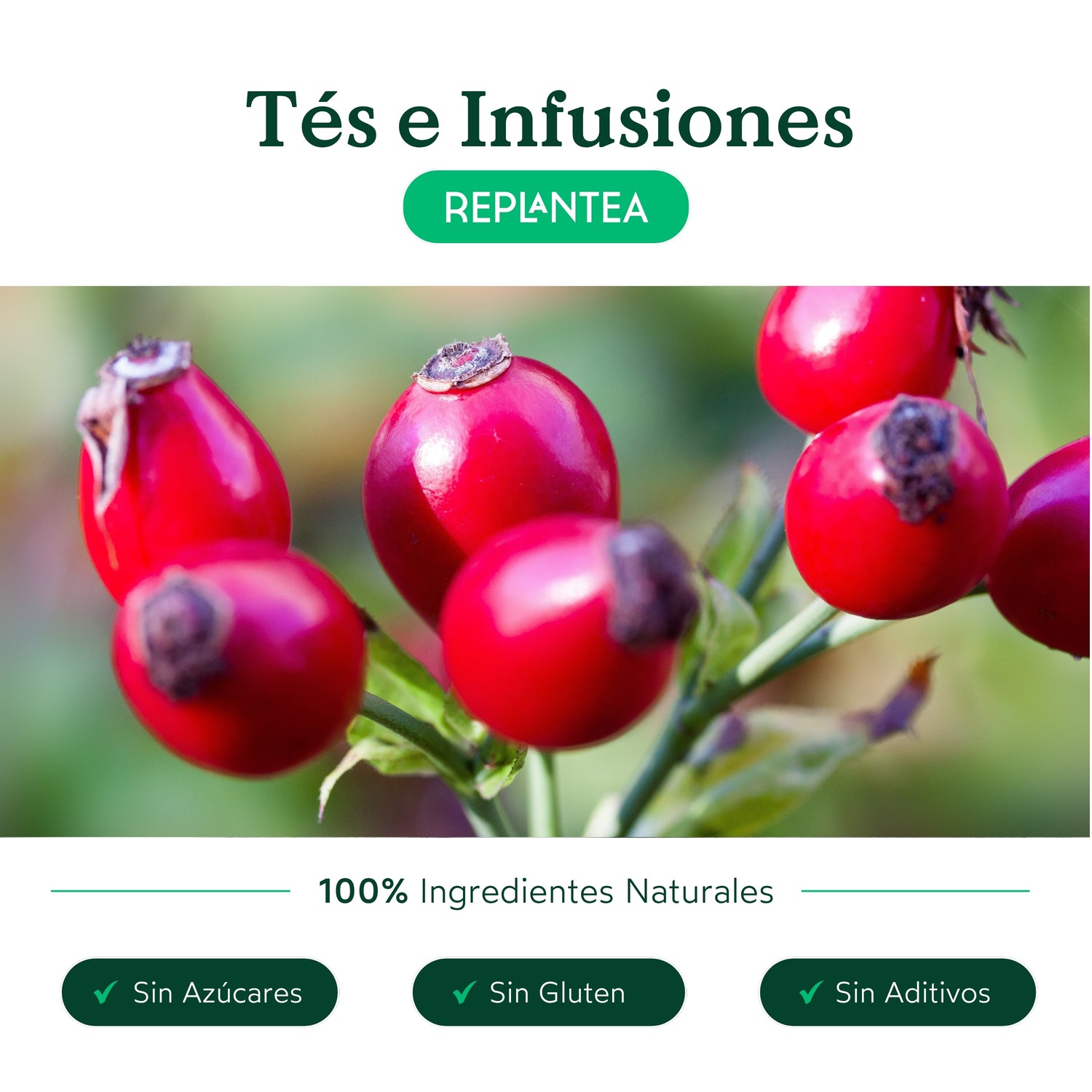 Infusão de Rosa Canina Biológica 200 g