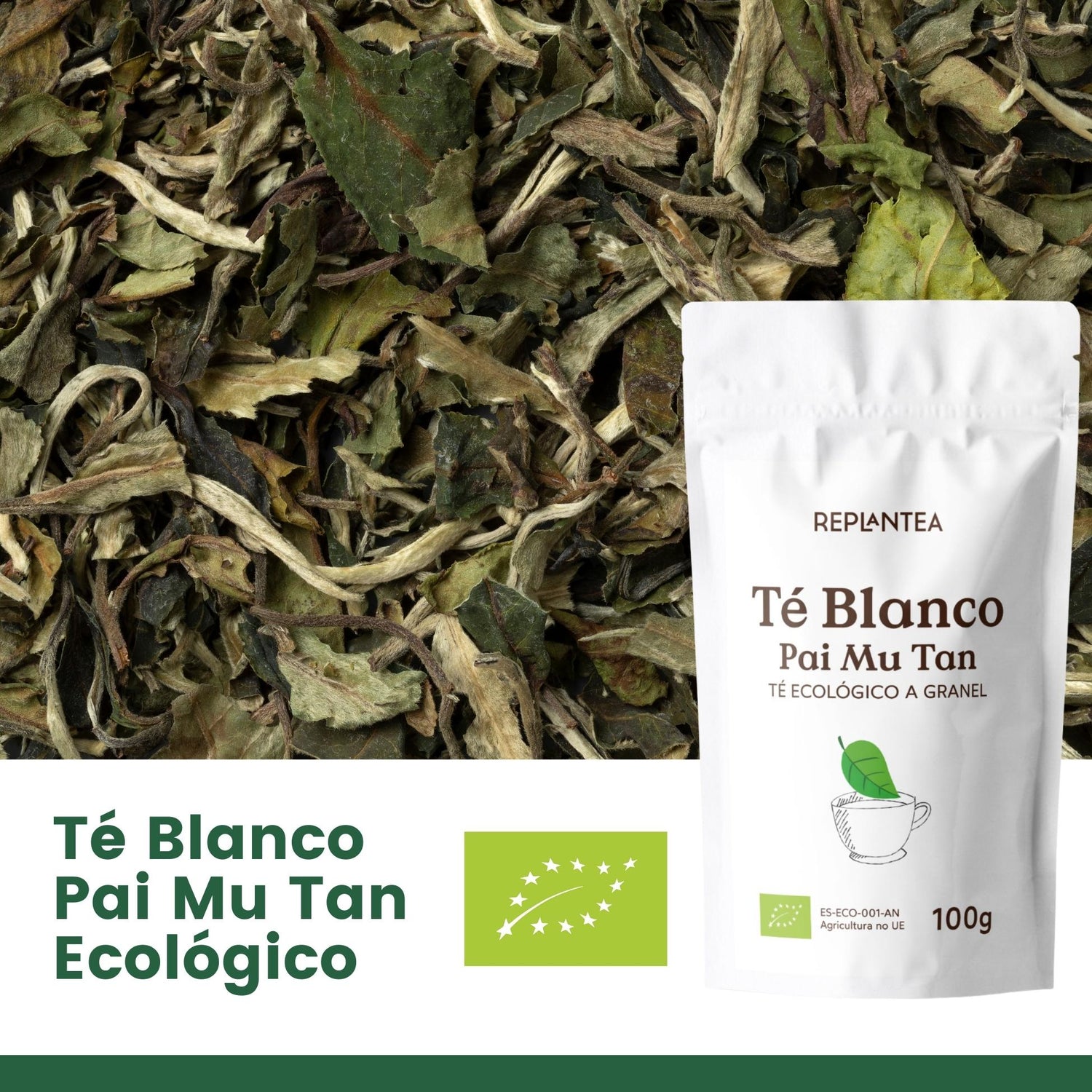Chá Branco Pai Mu Tan Biológico 100 g
