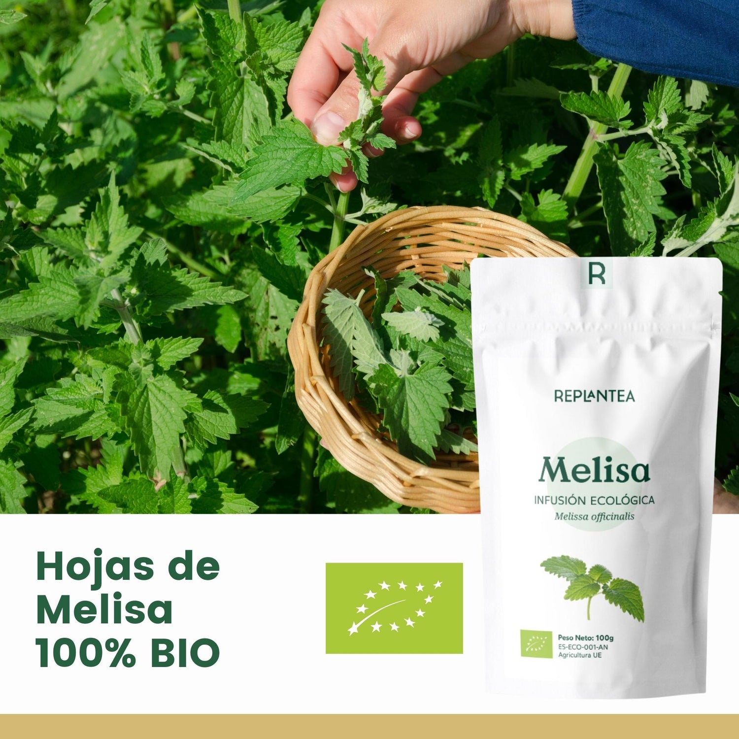 Infusão de erva-cidreira biológica 100 g
