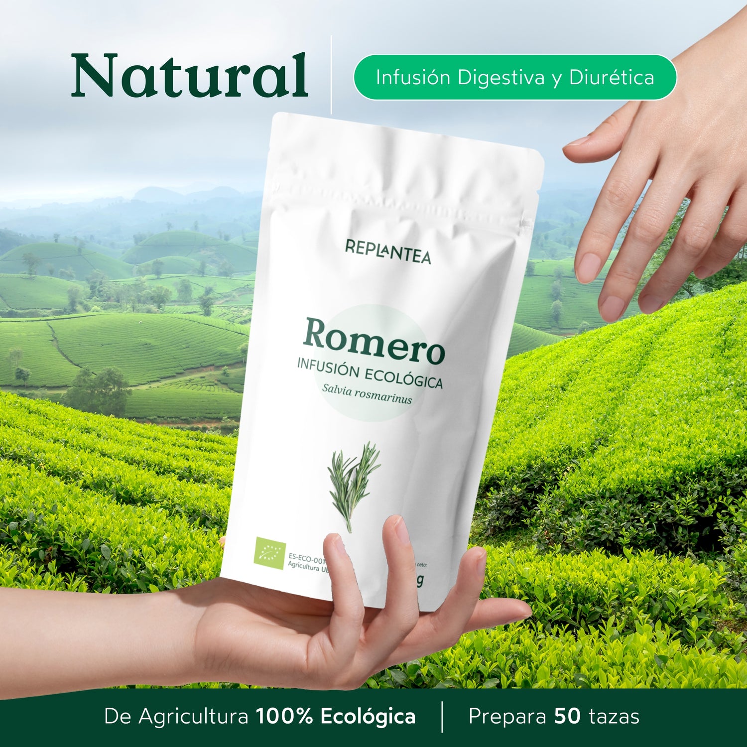 Infusão de Alecrim Biológico 200 g