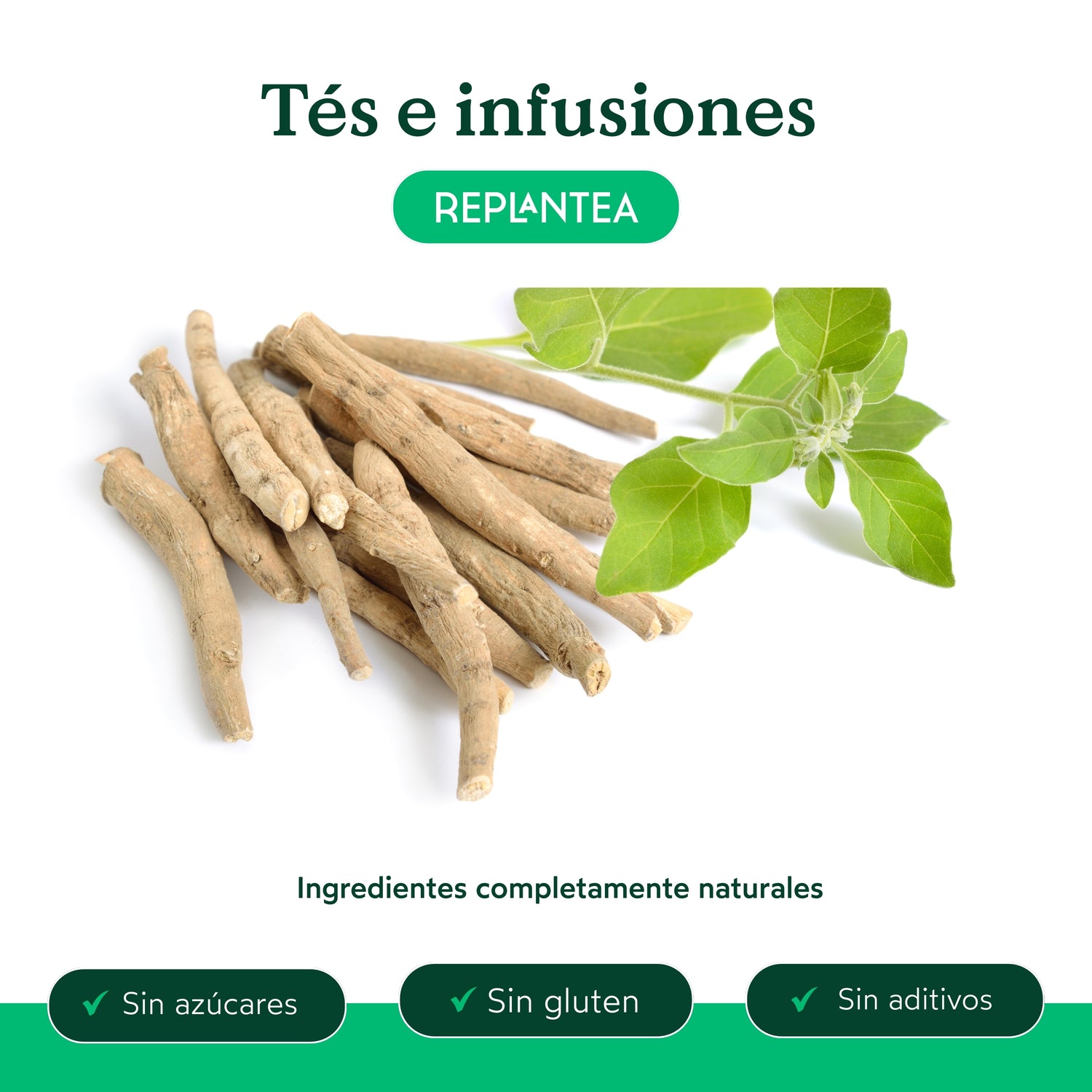 Infusão de Raiz de Ashwagandha Biológica 100 g